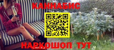 индика Волжск