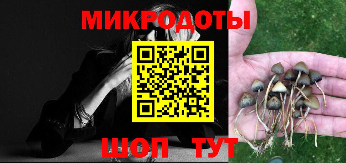 Псилоцибиновые грибы Psilocybine cubensis  Вход с VPN  Обнинск 